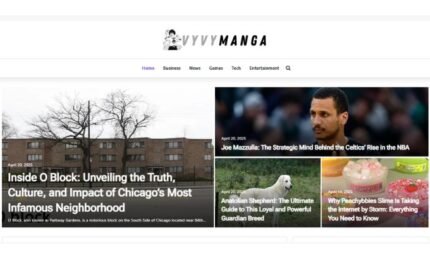 Publish Guest Post on vyvymanga.io