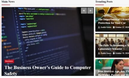 thezoomwire.com